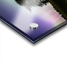 Lone Tree and Northern Lights Acrylic print