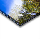 Trail in the Fall Acrylic print