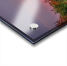 Red Sunset Acrylic print