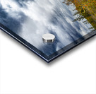 Moody Fall Acrylic print