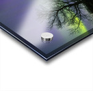 Comet Fall Aurora by lone Tree Acrylic print