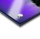 A night of Stars and Auroras Acrylic print