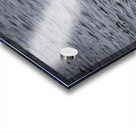 Pelicans Acrylic print