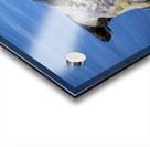 Painted Turtle Acrylic print