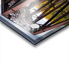 Emerson Train Bridge Acrylic print