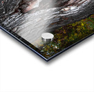 Tree Shelter Acrylic print