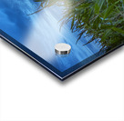 Cornfield at Sunset Acrylic print