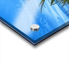 Cornfield at Sunset Acrylic print