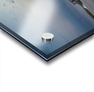 Great Falls Dam Acrylic print