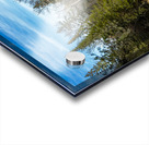 Lone Tamarack Tree Acrylic print