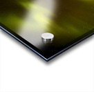 Northern Lights Above the Canopy Acrylic print