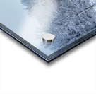 Freezing River Acrylic print