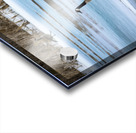 Geese During Spring Thaw Acrylic print