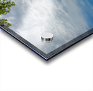 Lake of the Woods Shore Acrylic print