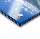 Above It All: Waterton’s Bear Hump Vista Acrylic print