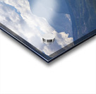 Waterton Lake Acrylic print