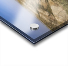 The Badlands Acrylic print