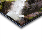 Red Rock Canyon Acrylic print