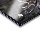 Antlers and Autumn: A Portrait of Natures Beauty Acrylic print