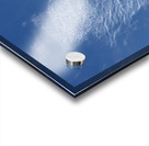 Sky Wing Acrylic print