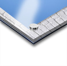 Winter Flight Acrylic print