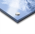 Lone Tree in Hoarfrost Acrylic print