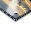 Lone Tree at Sunrise Acrylic print