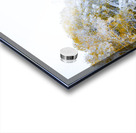 A Path Under the First Snow Acrylic print