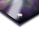 Blooming Sky Acrylic print