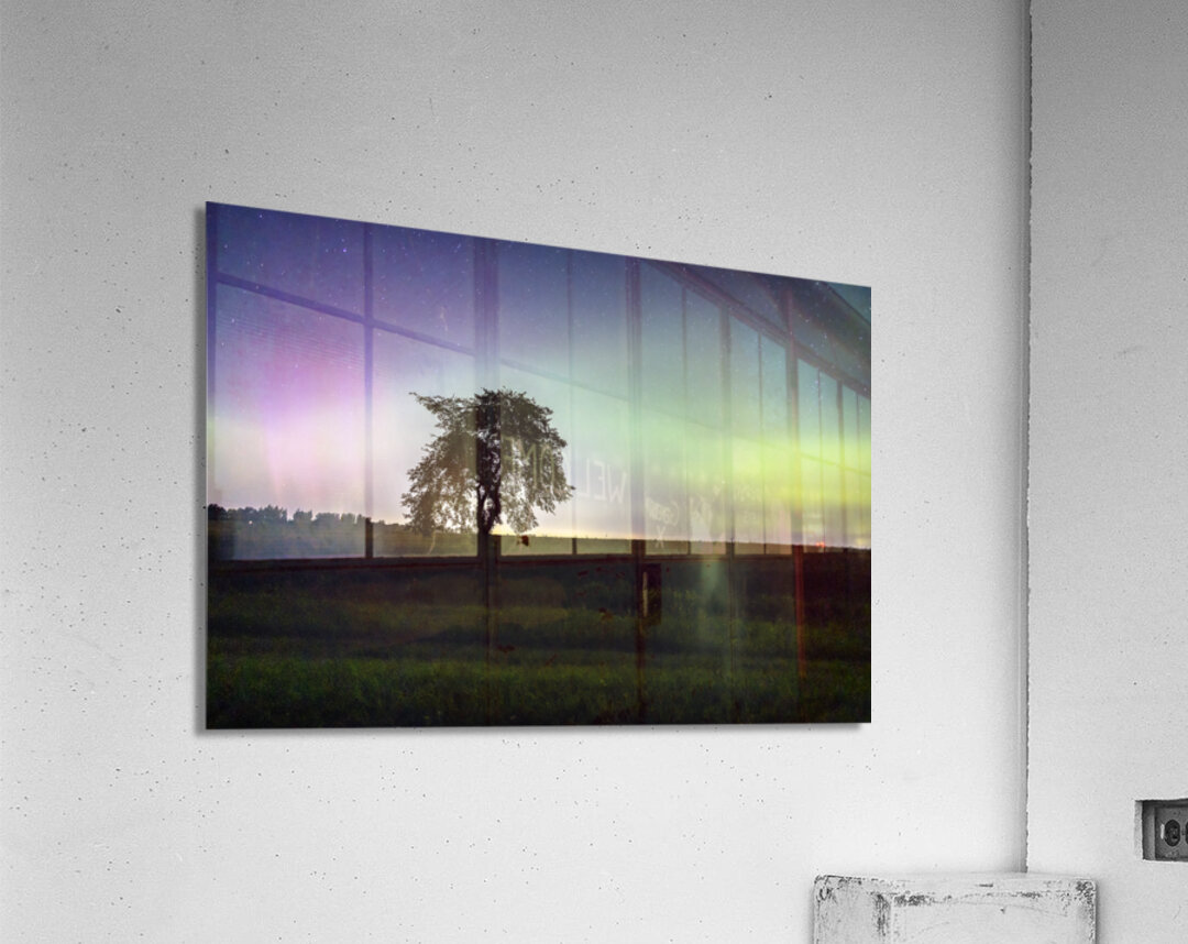Lone Tree and Northern Lights Acrylic Print