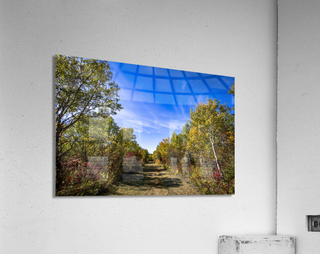 Trail in the Fall Acrylic Print