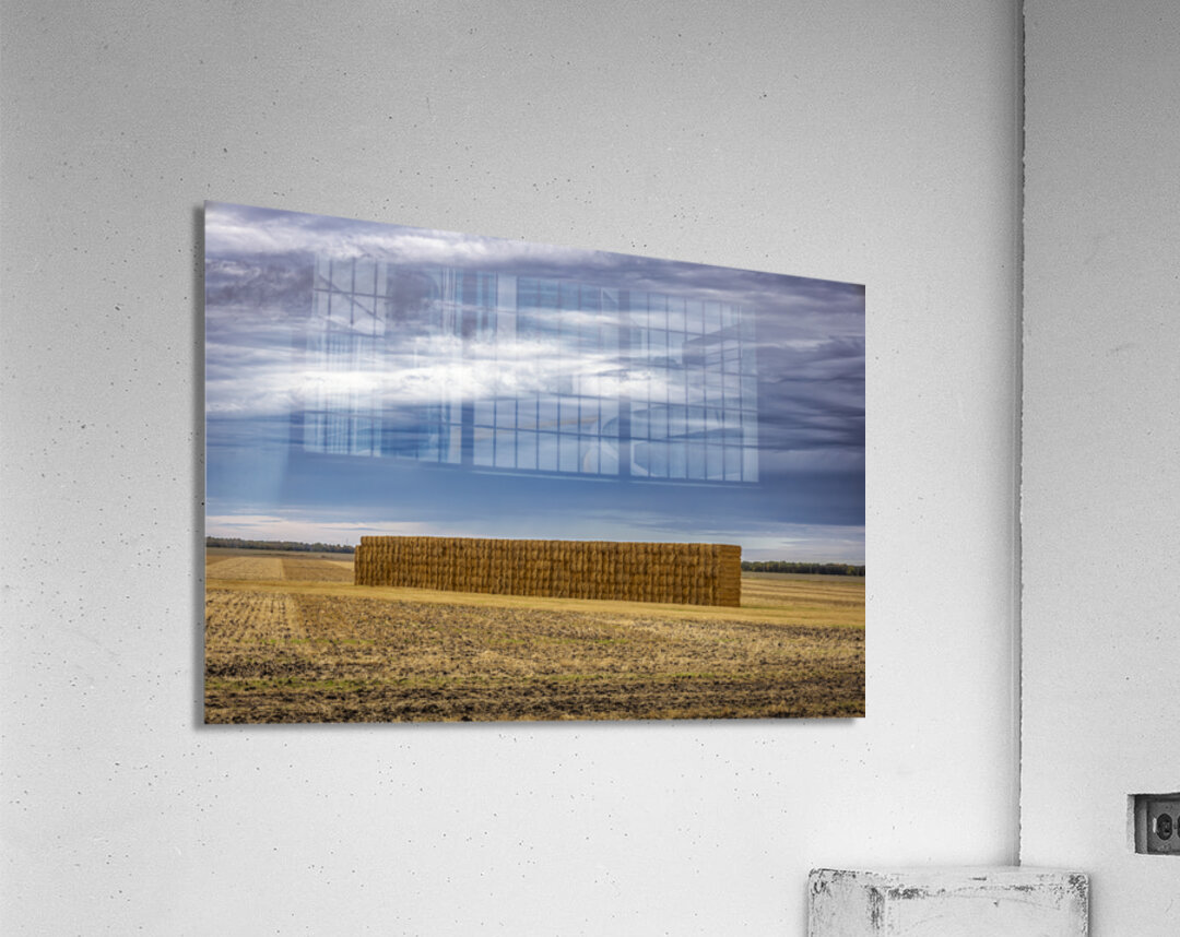 Hay Wall Acrylic Print