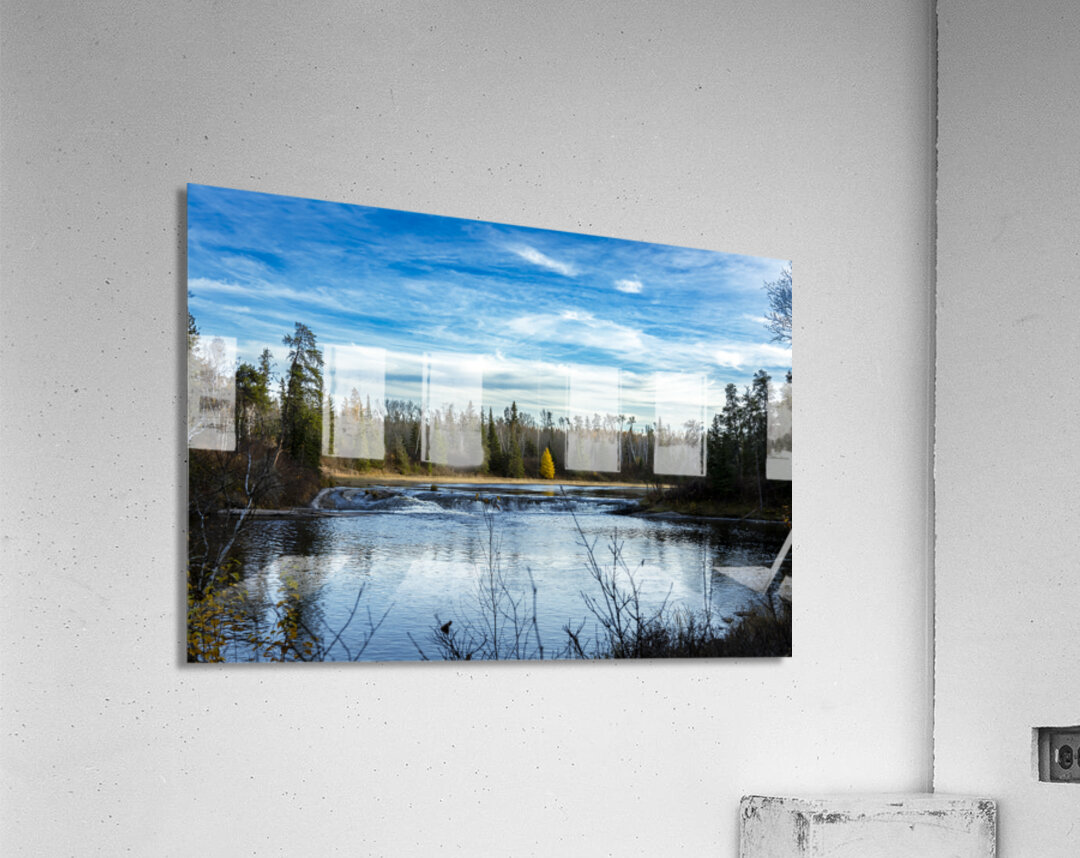 Lone Tamarack Tree Behind the Falls Acrylic Print