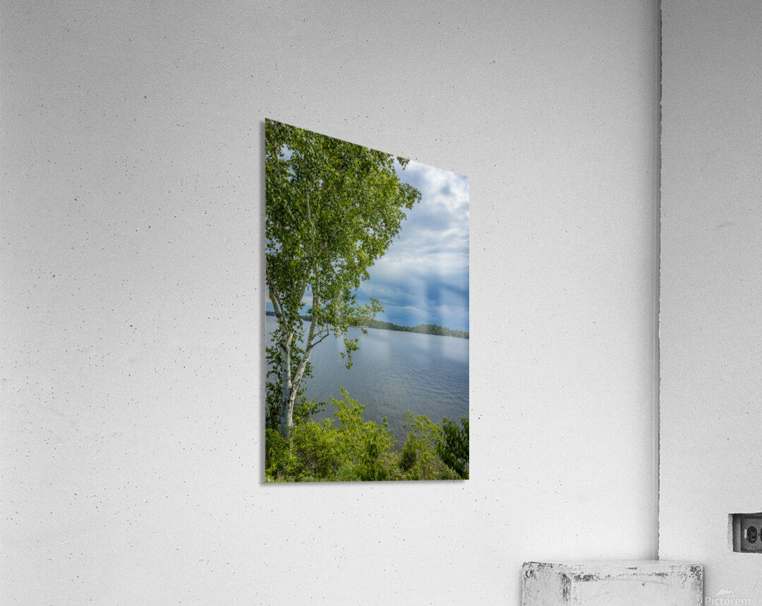 Lake of the Woods Shore Acrylic Print