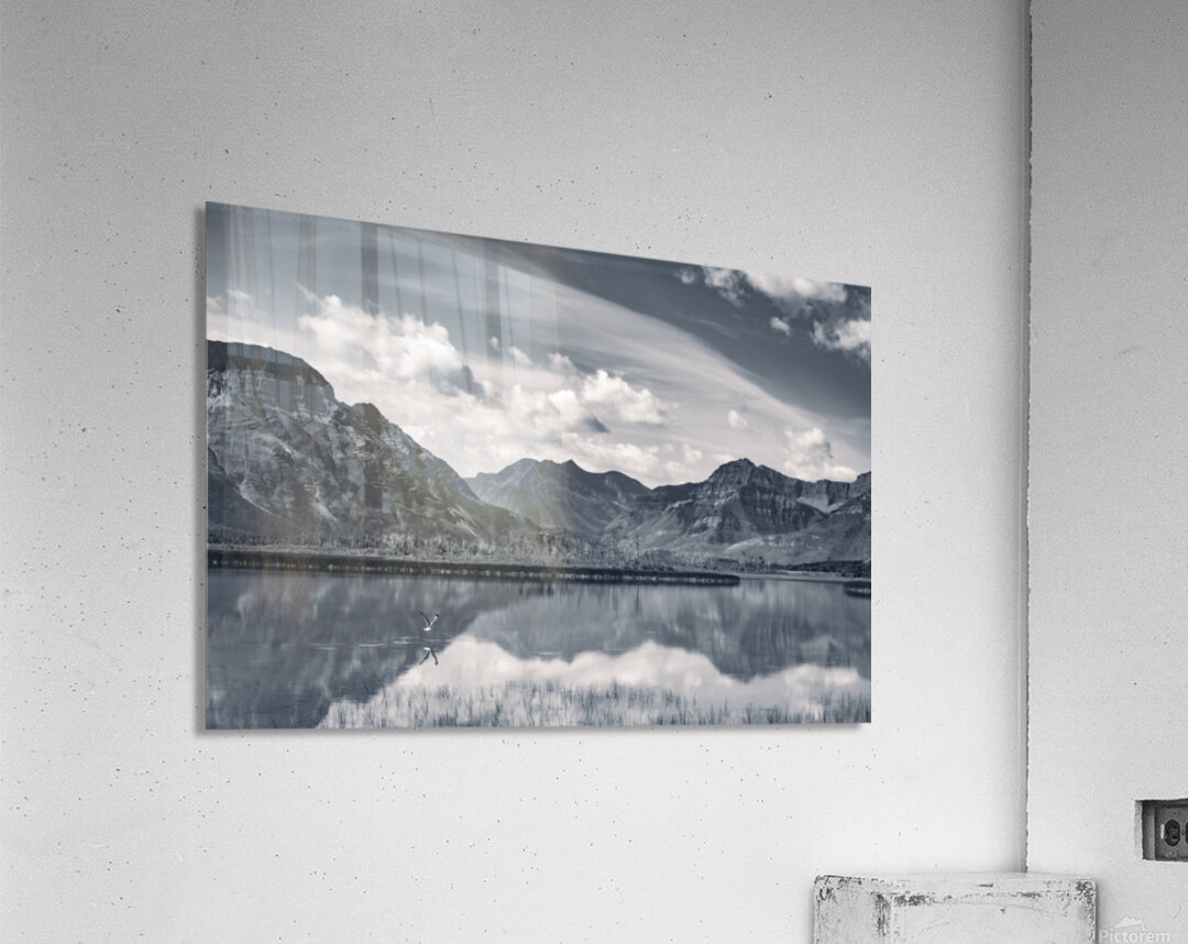 Reflections of Tranquility Acrylic Print