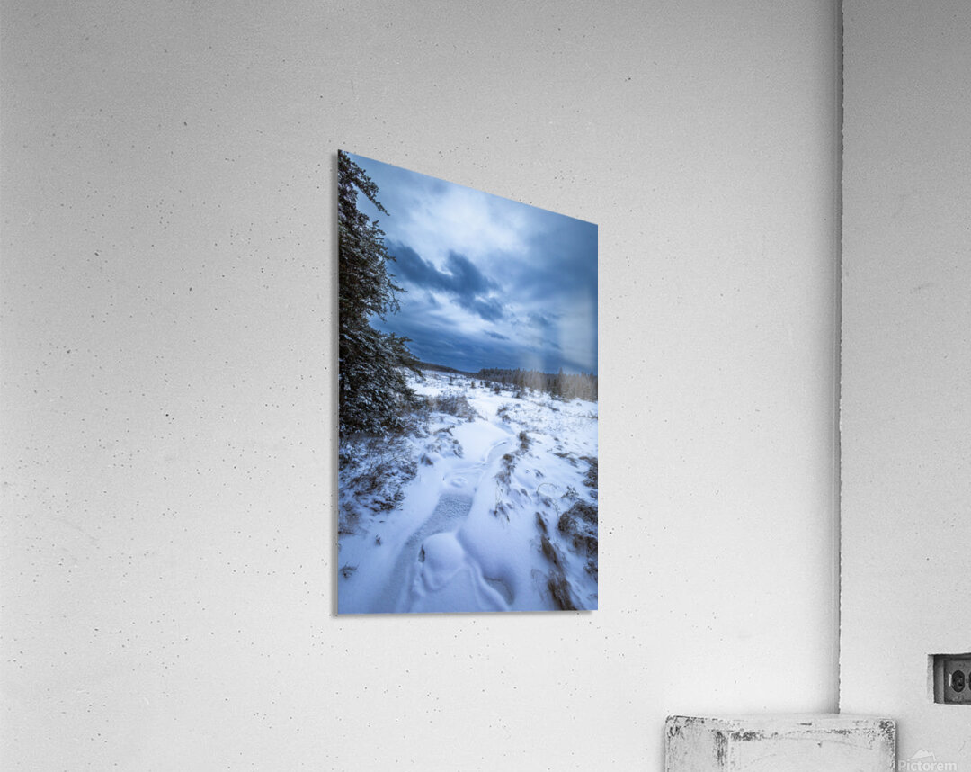 Boreal Stillness Acrylic Print