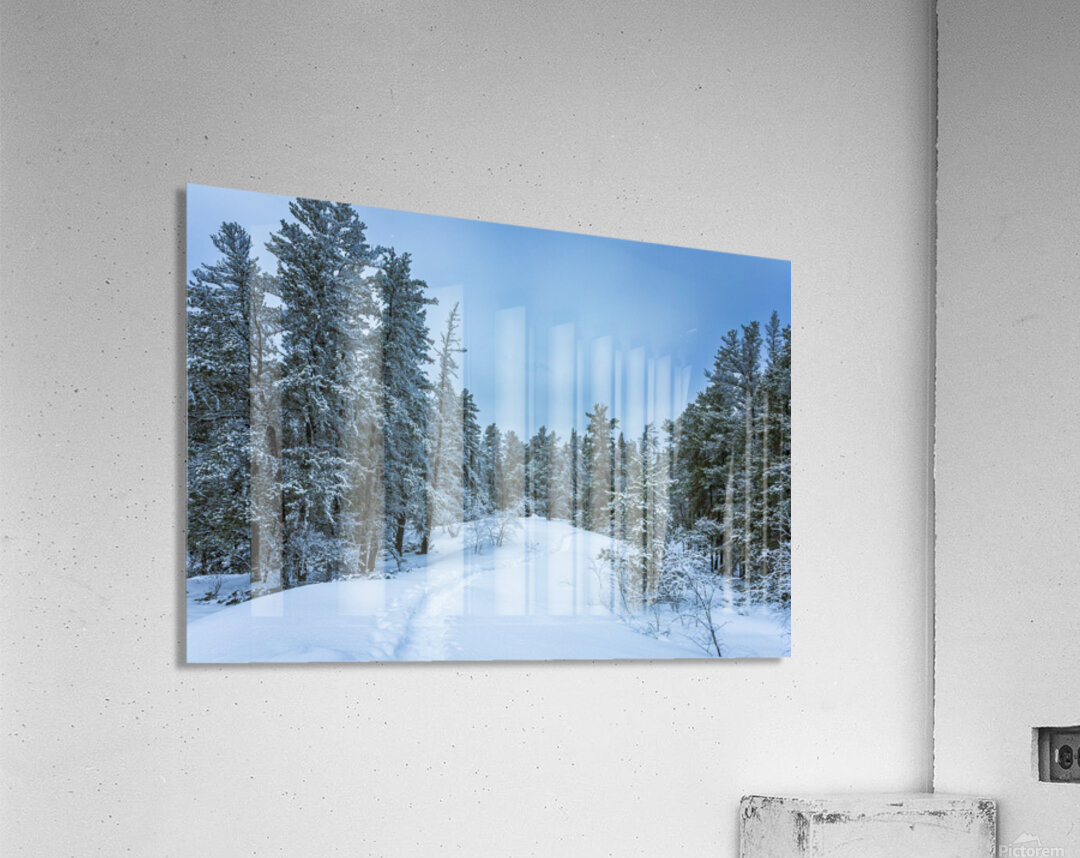 Winter on Hanson Creek Trail Acrylic Print