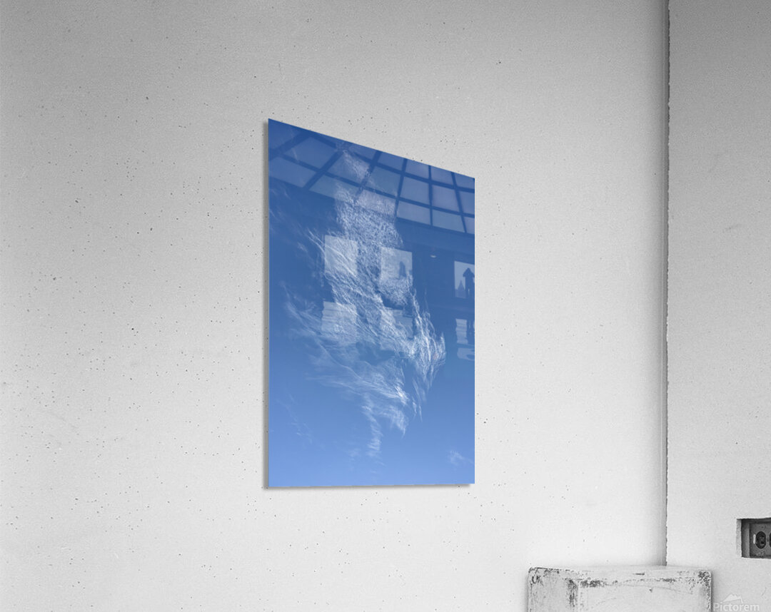 Sky Wing Acrylic Print