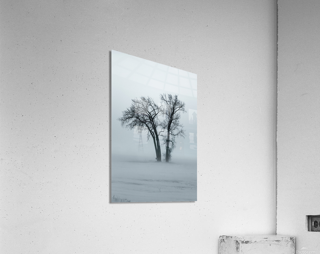 Lone Tree in Winter Storm Acrylic Print