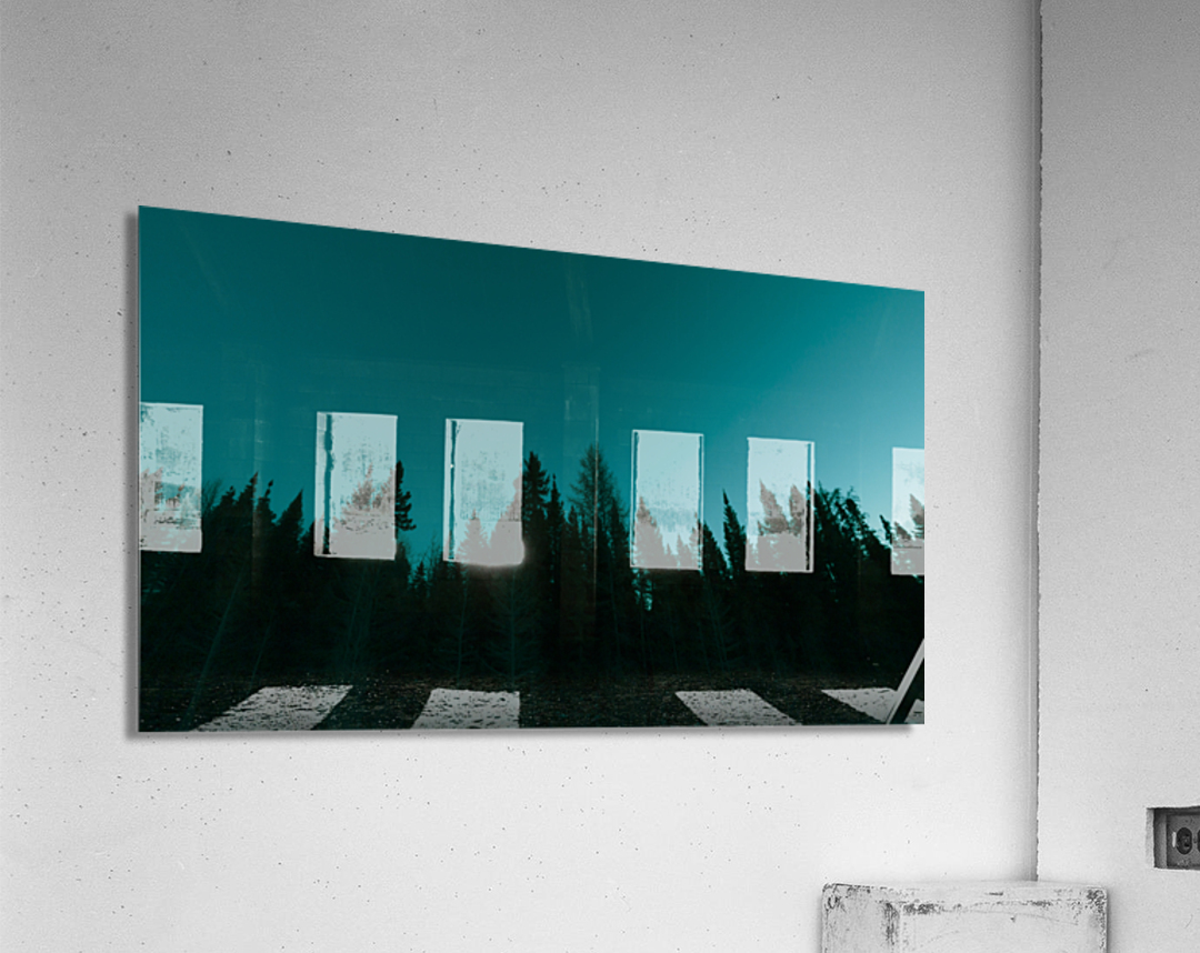 Boreal Silhouette Acrylic Print