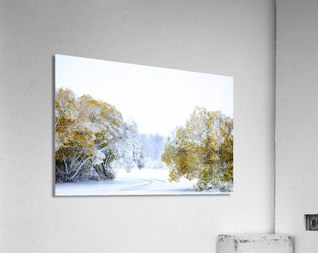 A Path Under the First Snow Acrylic Print