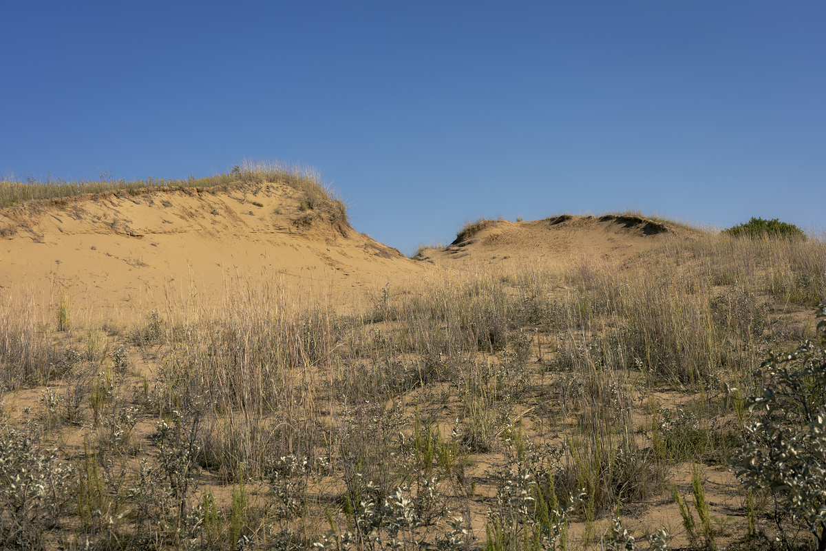 Impression de cadre personnalisé