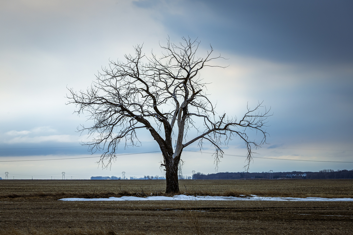 Impression de cadre personnalisé