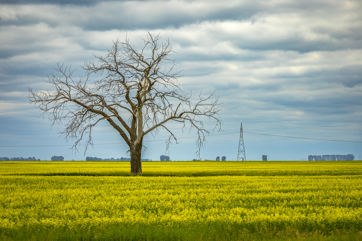 Impression de cadre personnalisé
