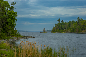 Morning on Shoal Lake