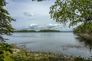 Shoal Lake View