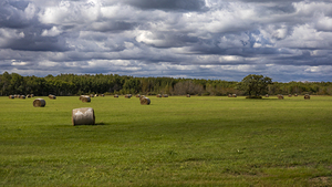 Haybales Under a Cloudy Sky