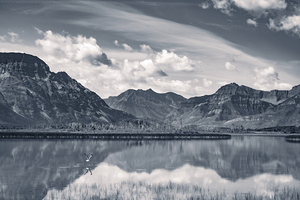 Reflections of Tranquility