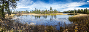 Horseshoe Bend Panorama at Pine Point Rapids
