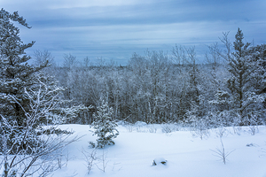 Whiteshell Winter Calm